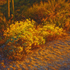Tucson Afterglow 10x10.jpg