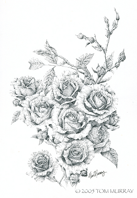 Roses 8x5