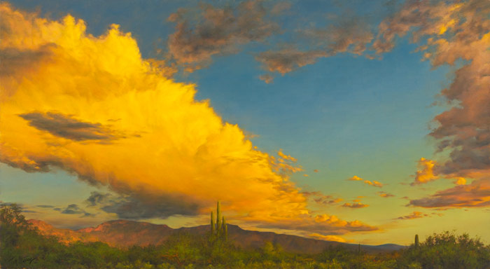 Tucson Sundown 20x16 SOLD!