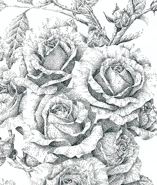 Roses Detail